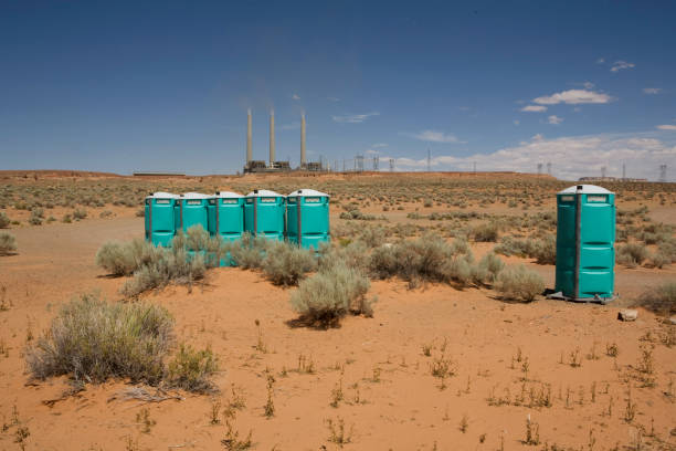 White Sands, NM Tree Removal Company